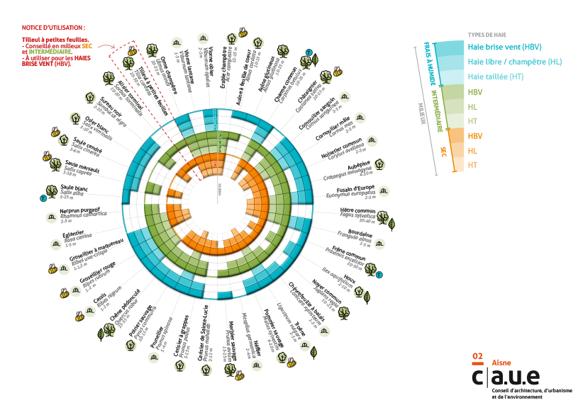Fiche pedagogiqe de palette vegetale - Image 1